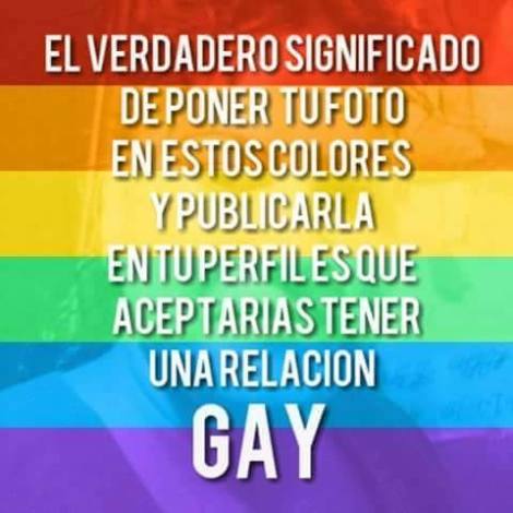 bandera del falso orgullo gay, bandera gay